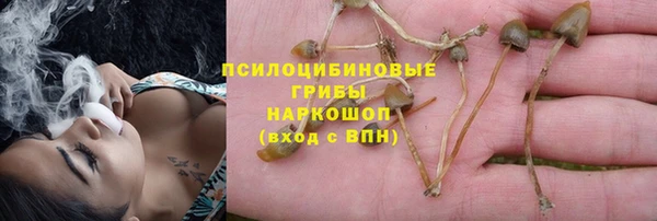 амф Киров