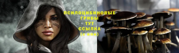 круглые Краснослободск