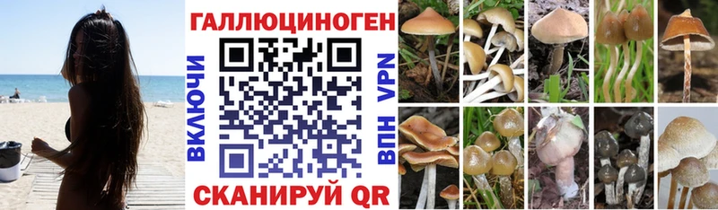 цена наркотик  Трубчевск  мега tor  Псилоцибиновые грибы MAGIC MUSHROOMS 